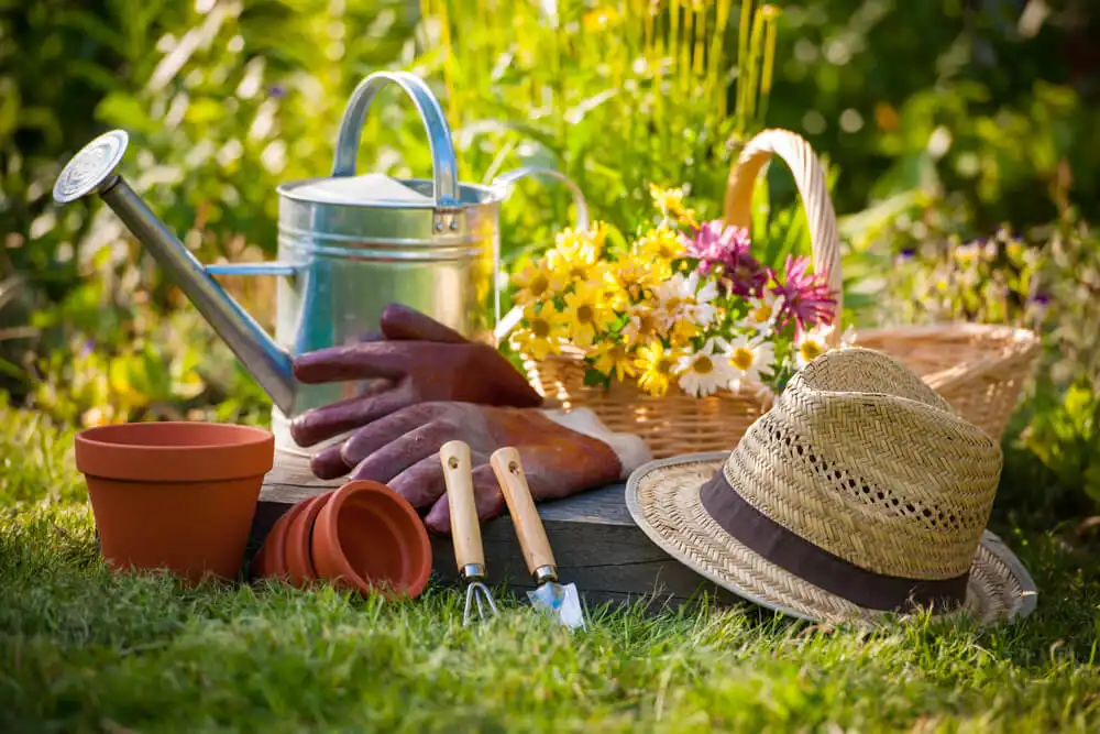 Gardening & Outdoor